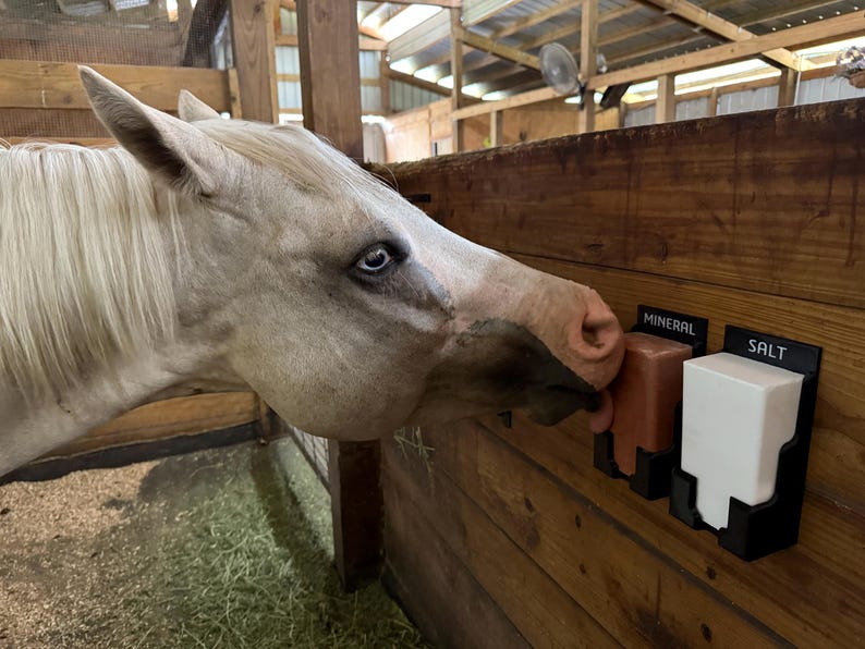 May include: A pale horse with blue eyes approaches a mineral and salt dispenser. The dispenser is mounted on a wooden wall inside a stable. The dispenser has two compartments, one labelled "MINERAL" and the other "SALT".
