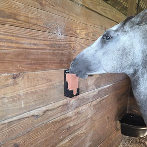 May include: A grey horse in a wooden stable is seen interacting with a mineral block. The block is held in a black holder attached to the wooden wall. The horse's head is positioned near the block.