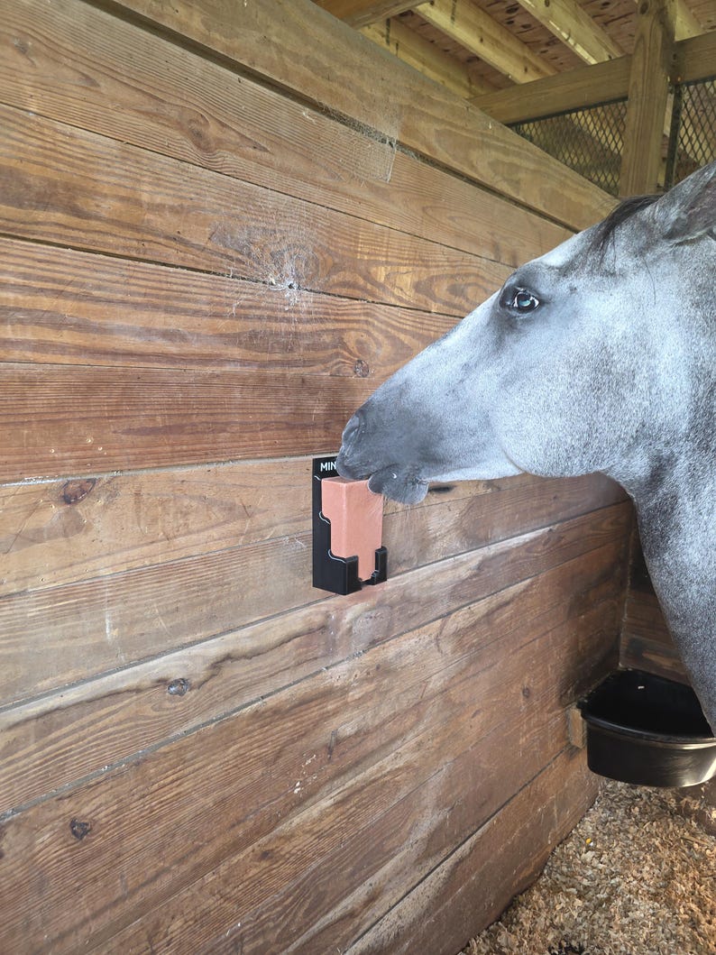 May include: A grey horse in a wooden stable is seen interacting with a mineral block. The block is held in a black holder attached to the wooden wall. The horse's head is positioned near the block.