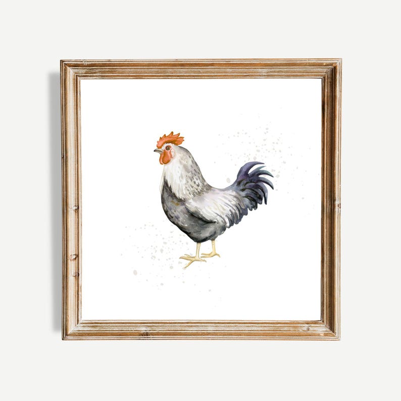 Pu&ograve; includere: Un dipinto ad acquerello di un gallo con un corpo bianco e grigio, una cresta arancione e una coda nera. Il gallo &egrave; in piedi su uno sfondo bianco con macchie grigie.