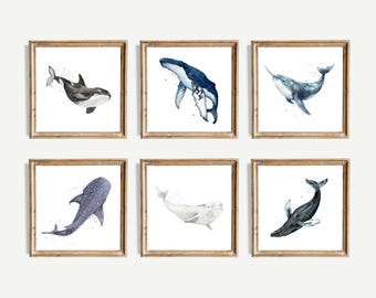 Stampa di animali con balena ad acquerello da scaricare / Set di 6 / Stampa di balena narvalo / Tema per bambini con tema nautico per bambini con tema oceano / Stampa per bambini con tema oceano