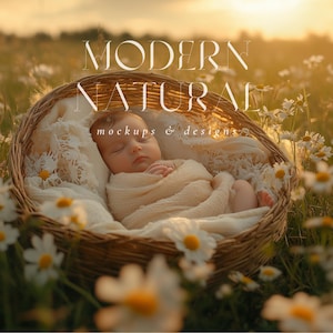 Puede incluir: Un bebé dormido, envuelto en una manta color crema, descansa en una cesta de mimbre. La cesta está rodeada de margaritas blancas en un campo de hierba verde. El texto "MODERN NATURAL mockups & designs" está presente.