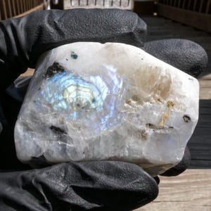 Rainbow Moonstone Irregular Freeforms (3 Size Options) - Carvings - Free Forms - Crystals