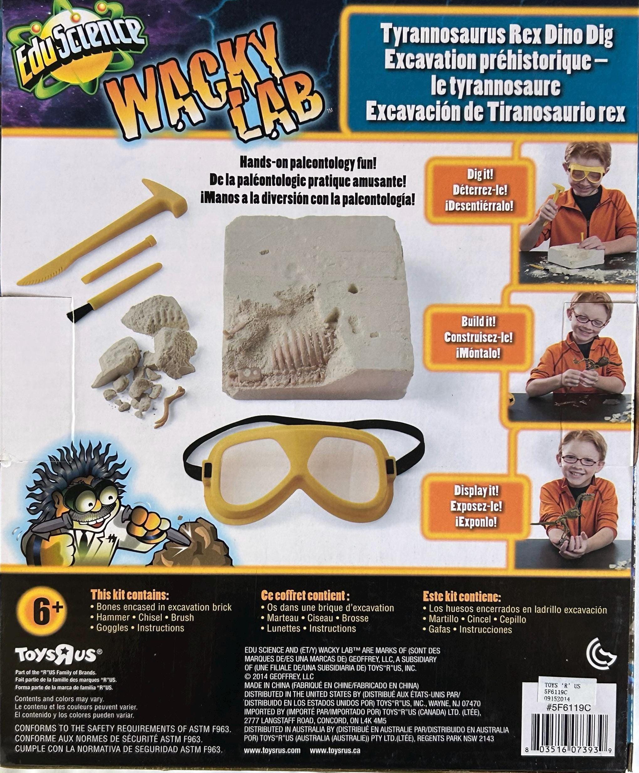 Wacky Lab T-rex Dino Dig Kit: Build & Display - Etsy
