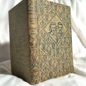 RARO LIBRO de tapa dura vintage de 1957 La aventura en el bosque de los gemelos Bobbsey de Laura Lee Hope Grosset y Dunlap Clásico infantil ilustrado
