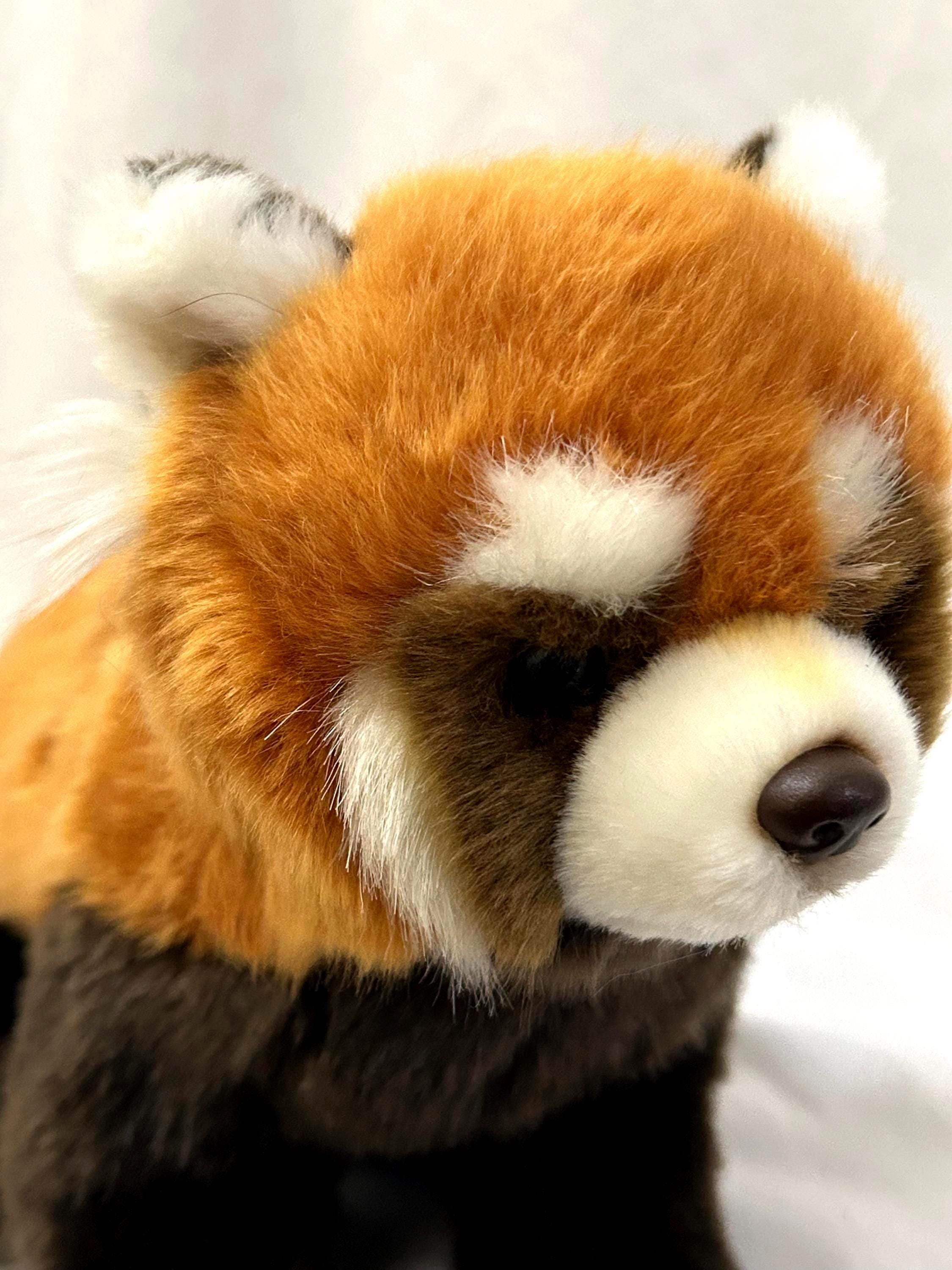 RETIRED Webkinz Signature Red Panda Plush: Collectible Ganz