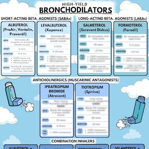 Bronchodilators | Reference Guide | SABAs, LABAs, Anticholinergics, Inhalers | Respiratory Therapy, Nursing, Pharmacology PDF | Cheat Sheet
