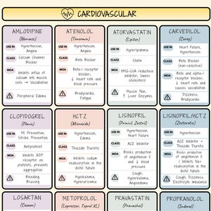 Könnte beinhalten: Eine medizinische Tabelle mit dem Titel "Cardiovascular", die Medikamente wie Amlodipin und Atenolol auflistet. Jede Karte enthält Informationen zu Anwendungen, Wirkstoffklasse, Wirkungsweise und möglichen Nebenwirkungen, wie Ödeme und Bradykardie.