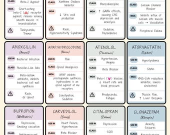 Top 50 Most Common Drugs Cheat Sheet | Pharmacy Study Guide | Quick Med Reference for Rotations & Exams
