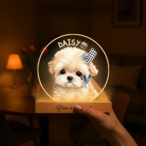 May include: A personalized night light featuring a cute puppy with a checkered bow, the name "DAISY", and a paw print. The light is encased in a circular frame and sits on a wooden base with the words "You ar..." illuminated.