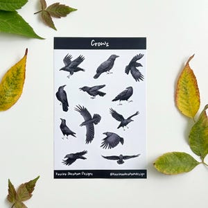 Puede incluir: Una hoja de pegatinas rectangular blanca con ilustraciones de cuervos en varias poses. La palabra "Crows" está impresa en la parte superior. El nombre del artista y el identificador de redes sociales están impresos en la parte inferior.