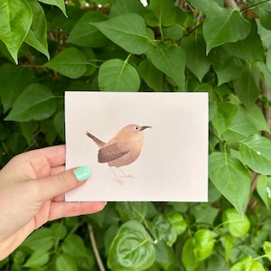 Cute and simple greeting card with bird / wren - blank inside with envelope - hand-drawn original art - card for bird lover - all occasions
