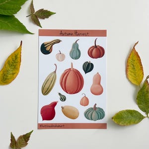 Könnte beinhalten: Ein Stickerbogen mit Illustrationen von Kürbissen in Orange, Grün und Creme. Der Text "Autumn Harvest" steht oben, mit dem Namen des Künstlers unten. Der Bogen ist von Herbstblättern umgeben.