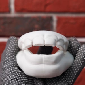 May include: A white 3D printed model of a human mouth featuring prominent upper front teeth and a lower jaw section. The object has a matte finish with visible horizontal layer lines from the printing process, showing a slightly open jaw structure.