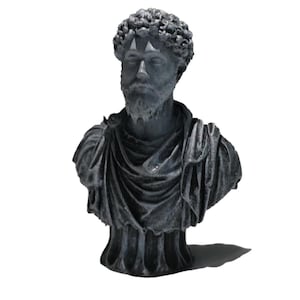 May include: A gray bust sculpture of a man with a short beard and curly hair. The bust is wearing a toga-like garment.