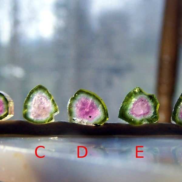 Watermelon Tourmaline slice - polished bicolor crystal bi color - small stone gemstone cabochon irregular freeform - pink green (A-BB-124)