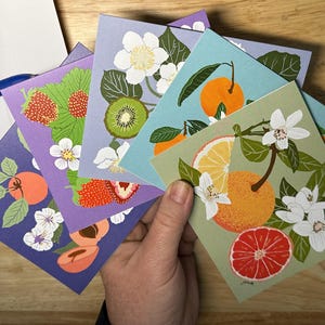 Früchte Blumen Noten Set 1 | Leere Karten für mehrere Anlässe | Handgezeichnet | Handgeschrieben | Künstler entworfen illustrierte Karte | Variantenpackung