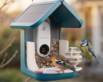 Bird Buddy Perch with Seed Guard & Suet Ball Holder | 3D Printed Bird Feeder Accessory