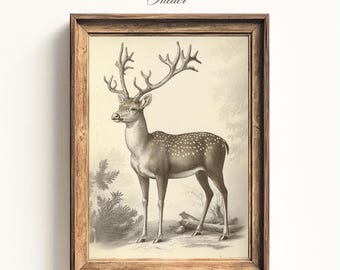 Reindeer Antique Vintage Wall Art, Rustic Reindeer Drawing Printable, Christmas Printable Wall Art, Animal Wall Art Digital Print Download