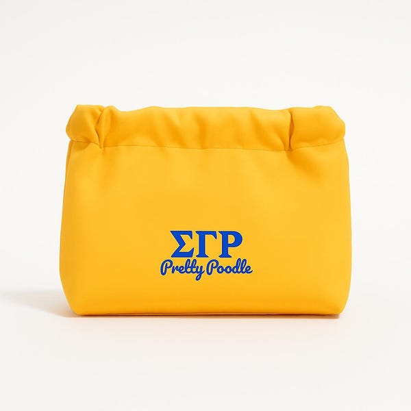 Sigma Gamma Rho - Mini Catch-All Pouch