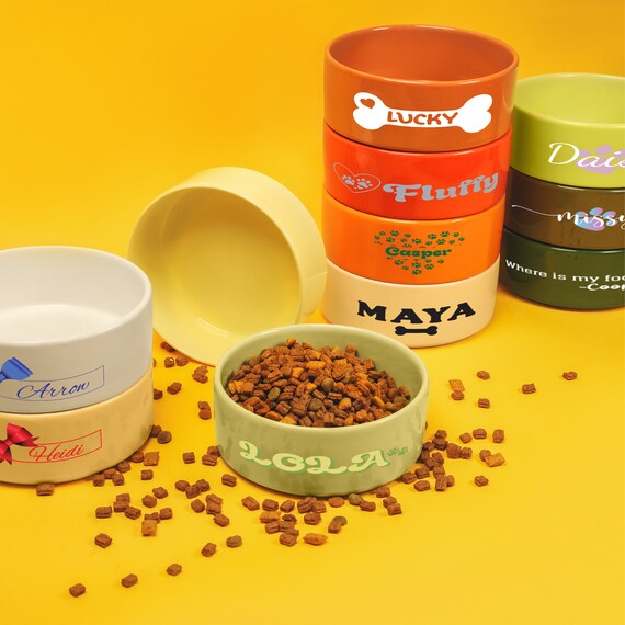 Custom Dog Name Food Bowl, Ceramic Pet Water Bowl, Personalized Cat Bowl, Ceramic Dog Bowl, Modern Pet Feeding Bowls, Gifts for Pet Owner
