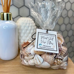 May include: A clear plastic bag filled with a variety of seashells. The bag has a black string tie and a white tag that reads "SQUASH HARVEST COMPANY Mixed Shell Vase Fillers Collected by hand along Florida's pristine beaches."