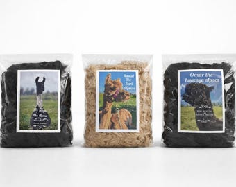 Raw alpaca fleece nesting or felting