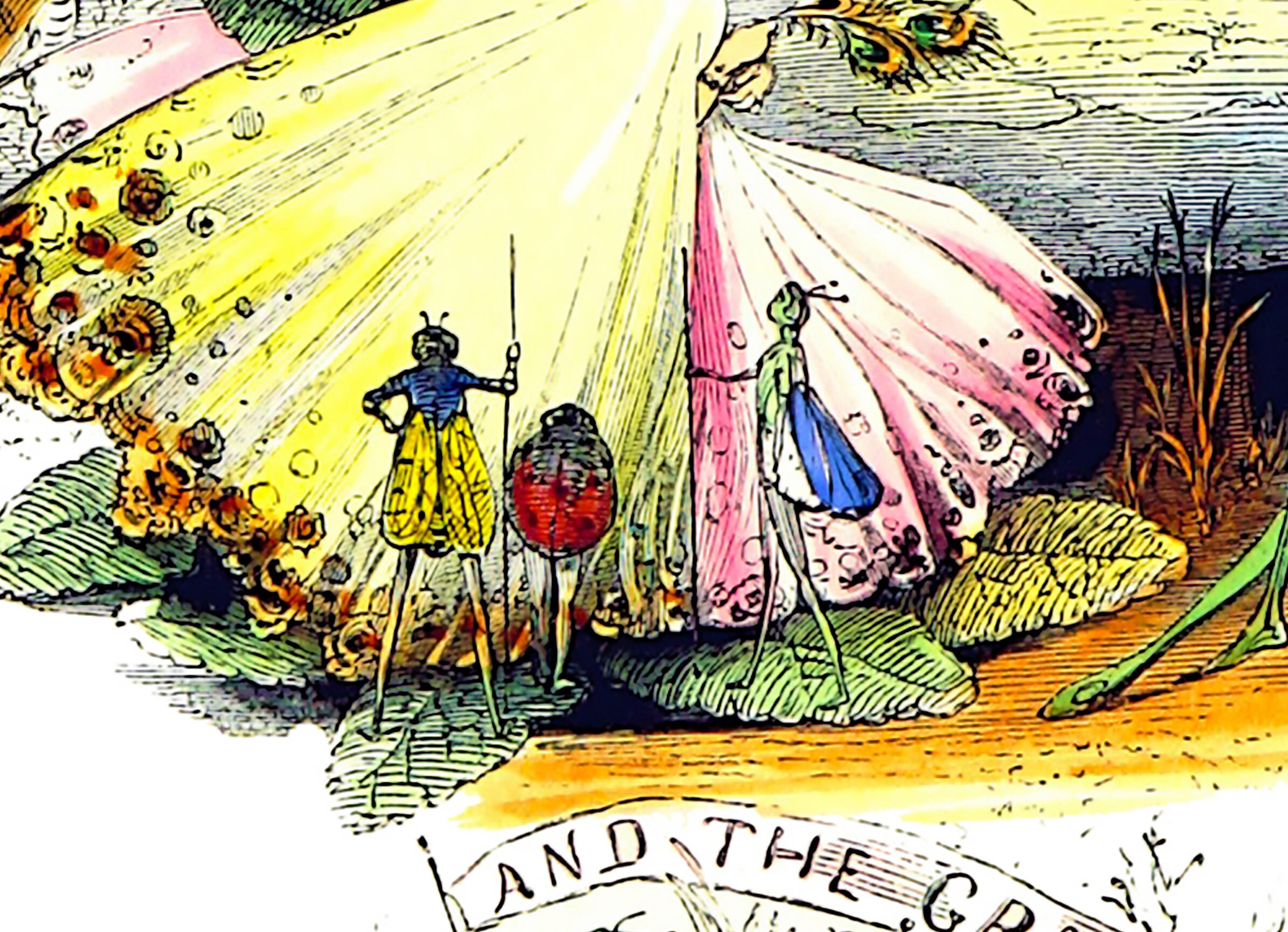 Butterly's Ball and Feast Nursery Rhyme Etsy New Zealand