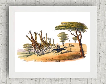 Giraffes in Africa Wall Art. Beautiful Vintage Safari Illustration, Wall Decor, Wall Art, Interior Decor, Unique Print, Nature, Savannah