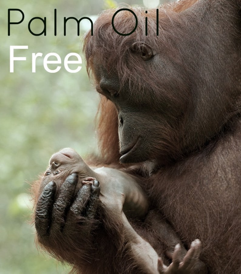 May include: A mother orangutan cradles her baby in her arms. The orangutan is brown and furry. The baby orangutan is looking up at the mother. The text "Palm Oil Free" is written in black letters on a white background.