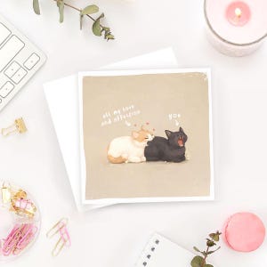 Funny Cats Card, Anniversary Romantic Greeting Love Gift image 5