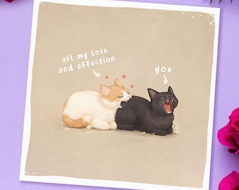 Funny Cats Card, Anniversary Romantic Greeting Love Gift
