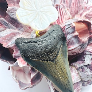 Megalodon Shark Tooth Necklace: Mother of Pearl Flower Choker