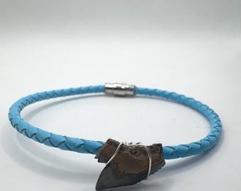 Bracciale in pelle blu con denti di squalo Bolo da 9,25&quot; - Bracciale con denti di squalo tigre