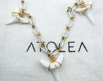 Collana, girocollo Atolea Barbados con tre denti di tigre della sabbia