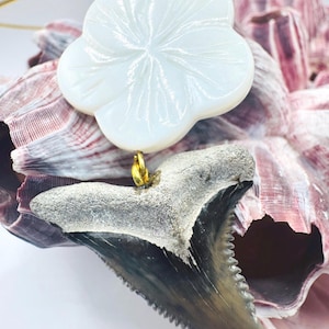 Shark Tooth Choker Necklace: Hemipristus Serra, Mother of Pearl Flower