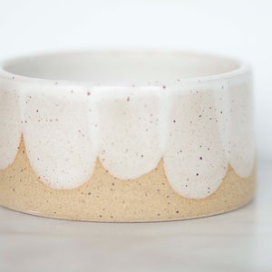 miss indy *scalloped handmade ceramic dog bowl*