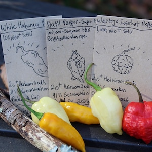 May include: An assortment of chili peppers and seed packets. The peppers include yellow, orange, and red varieties. The seed packets are labeled "White Habanero", "Datil Pepper", and "HWartryx Superhot Pepper".