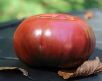 Cherokee Purple Tomato Seeds 20+ — Rare Beefsteak Heirloom, Hand-Sorted