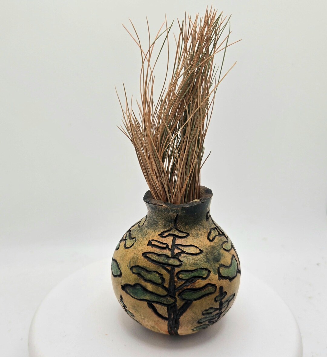 WHITE PINE FOREST 2.8