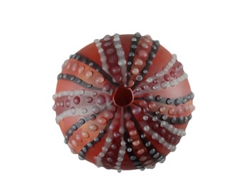 Medium Red Glass Sea Urchin Shell A