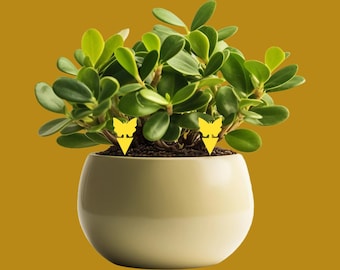 Yellow Sticky Gnat Trap Template (Digital Download) DIY