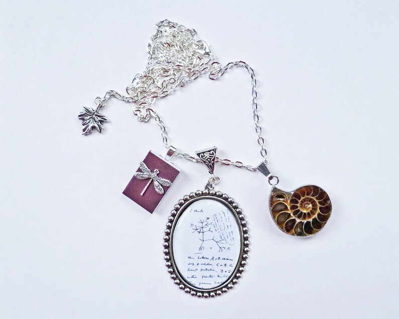 Darwin Tree of Life Science Jewelry Ammonite Fossil Necklace Etsy