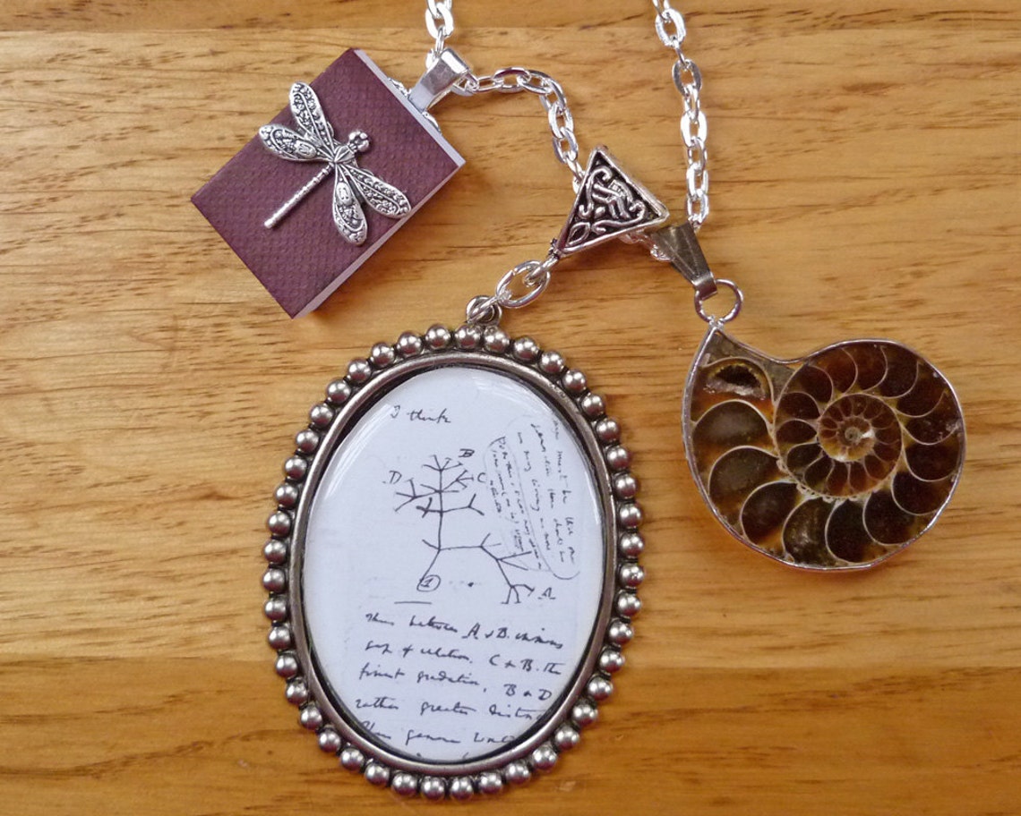 Darwin Tree of Life Science Jewelry Ammonite Fossil Necklace Etsy