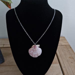 Real Shell Necklace