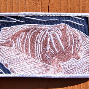 May include: White embroidered patch of a walrus on a dark blue background. The walrus is lying down with its tusks visible.