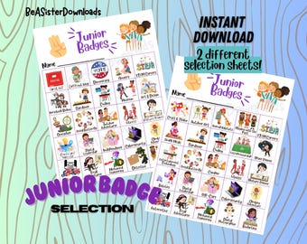 Junior Badge Choice Survey Girl Scouts