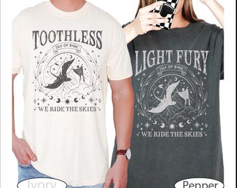 Toothless And Light Fury Shirt, Couple Matching HTTYD Tshirt, How To Train Dragon Inspired T-shirt, Mens Womens Dragon Rider Shirt