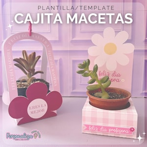 Könnte beinhalten: Rosa und weiße blütenförmige Pflanzkästen mit dem Text "CAJITA MACETAS". Eine Box enthält eine Sukkulentenpflanze und die andere eine kleine grüne Pflanze. Die Boxen tragen die Sätze "FELIZ DÍA MAESTRA", "ERES LA MEJOR" und "feliz dia profesora".