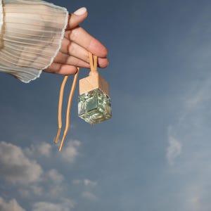 May include: A small glass bottle with a wooden top and a brown string hanging from it. The bottle is filled with a clear liquid and is being held by a hand against a blue sky with white clouds.